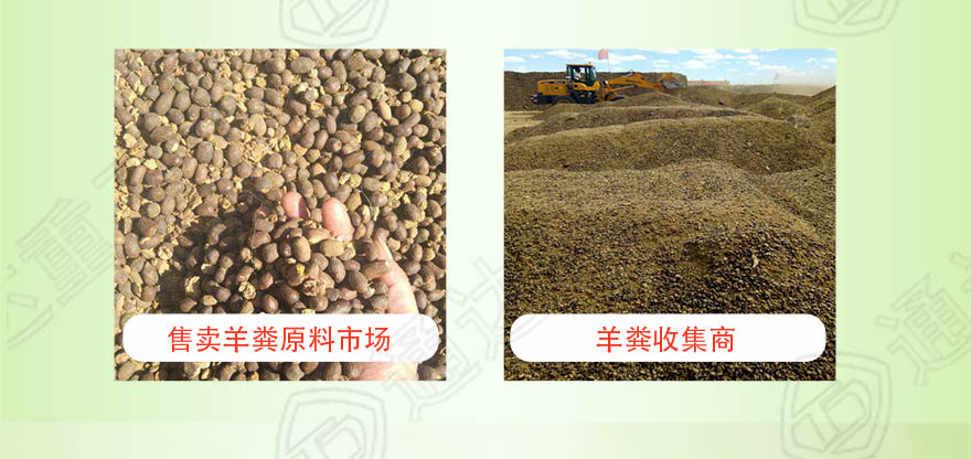 羊糞生產(chǎn)線_05.jpg