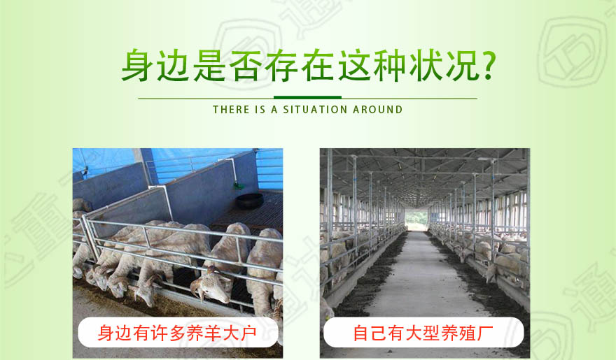 羊糞生產(chǎn)線_04.jpg
